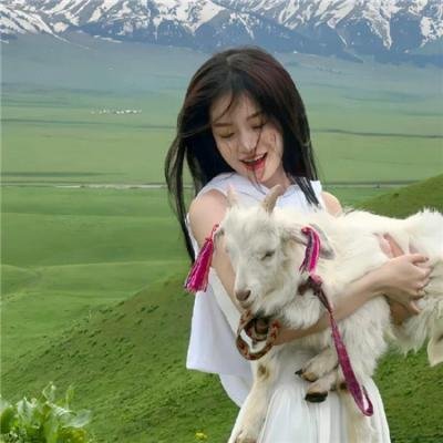 潜艇总动员：冒险岛