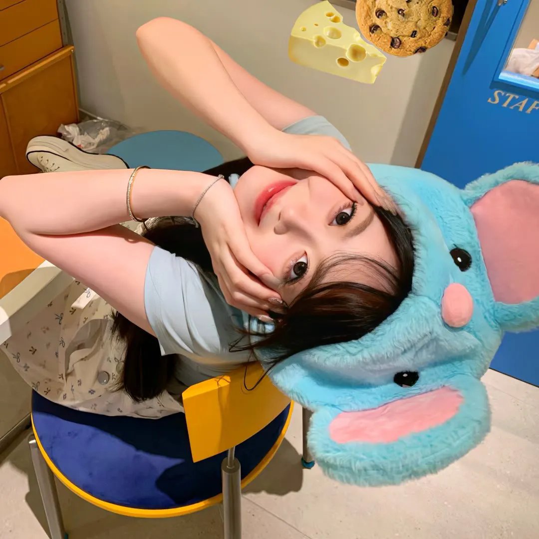 情网